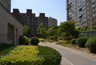 百子灣家園租房,3100元 月,百子灣 沿海賽洛城對面老樓兩居 兩家合住 優質房源 北京租房 推推99北京房產網